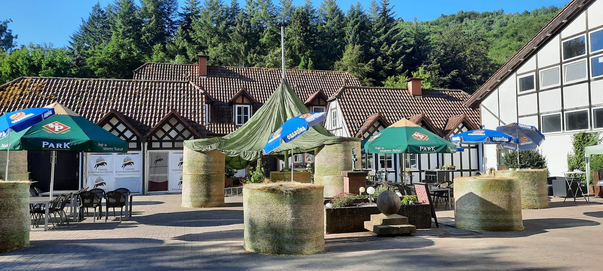 Das Gestüt Etzenbacher Mühle